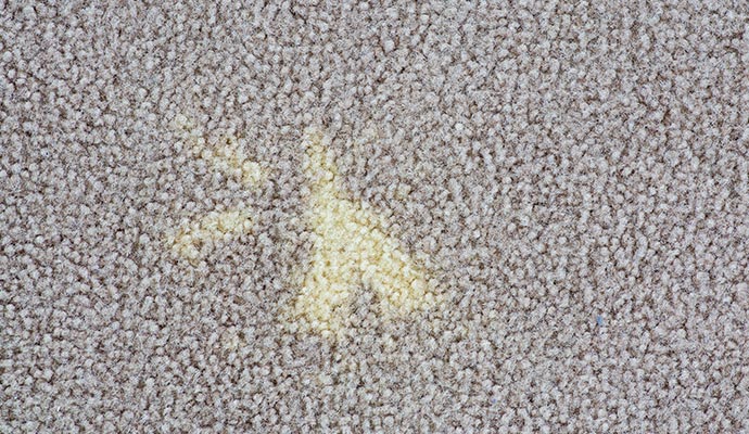 Beige carpet with visible discoloration and uneven color patches