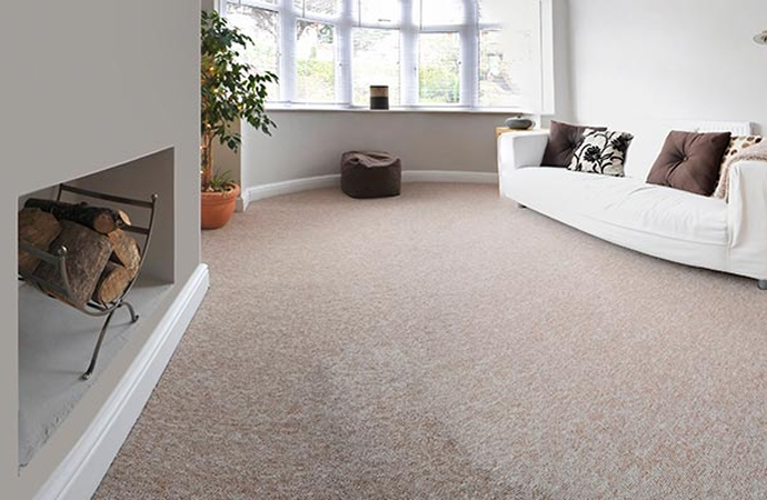 Clean beige carpet covering the floor of a modern living room