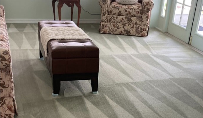 Cleaned carpet in a living room.