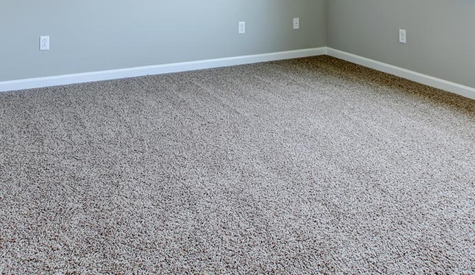 Cleaned carpet in a residential room.