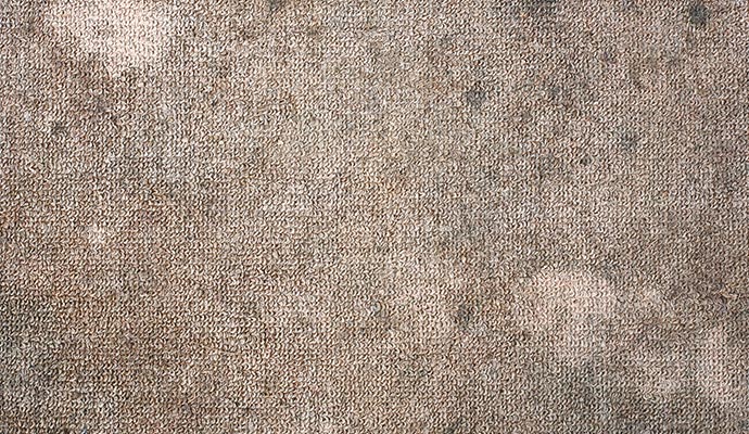 Close-up of faded brown and beige carpet