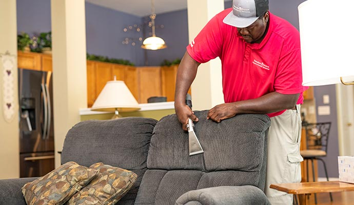 A professional cleaning a gray upholstered sofa using an equipment