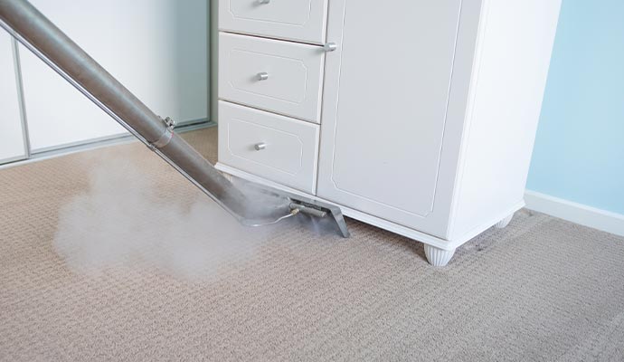 Steam cleaning service