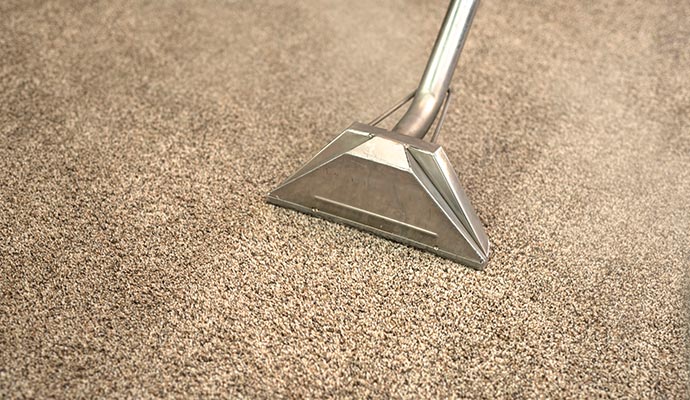 Carpet cleaning service