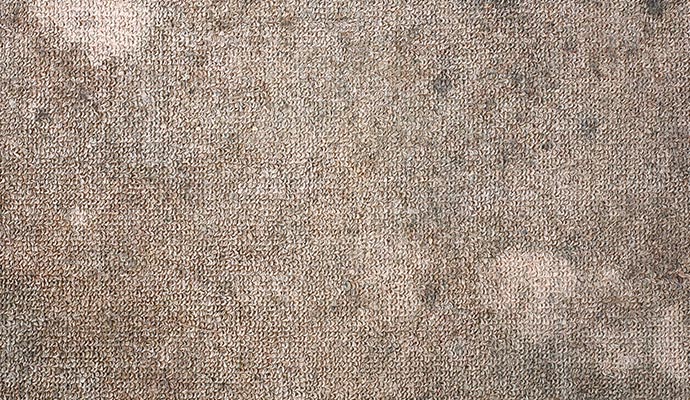 Acid based stain on carpet
