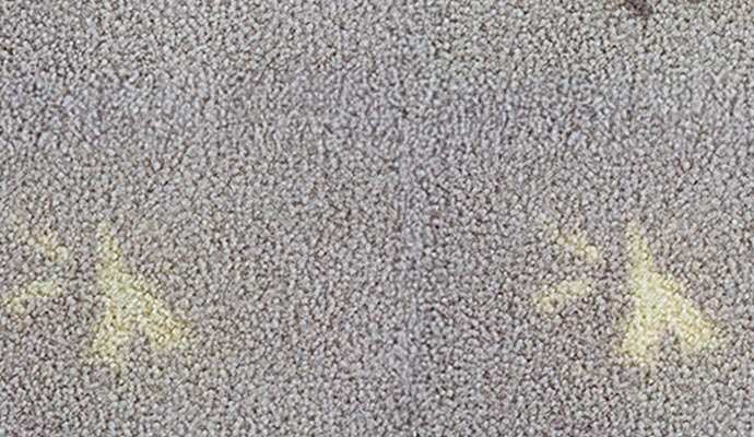 Carpet bleach stain