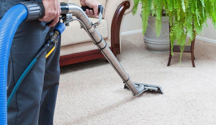 Carpet cleaning living room