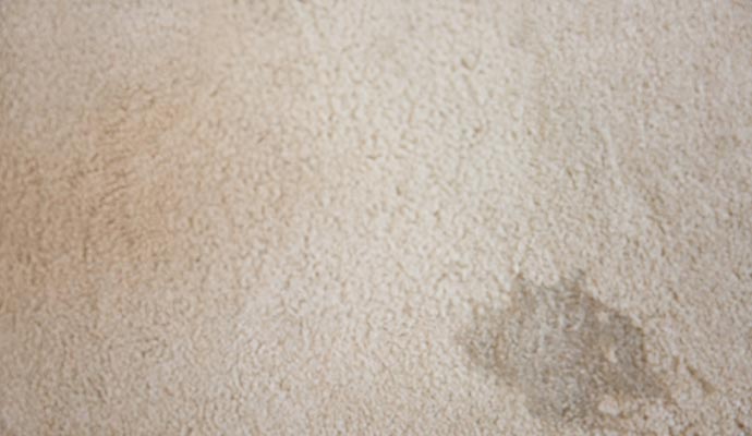 a carpet on the floor that has urine stain on it