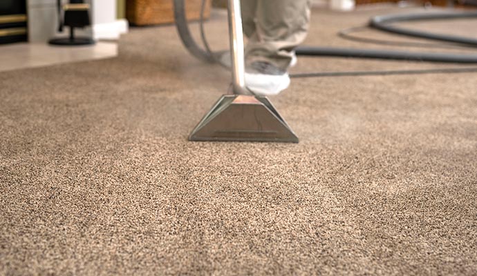 cleaning a beige carpet using a steam cleaner