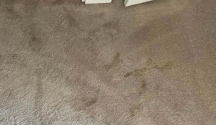 discolored carpet on the floor