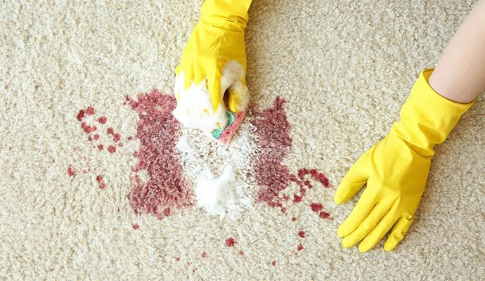Person removing carpet stain