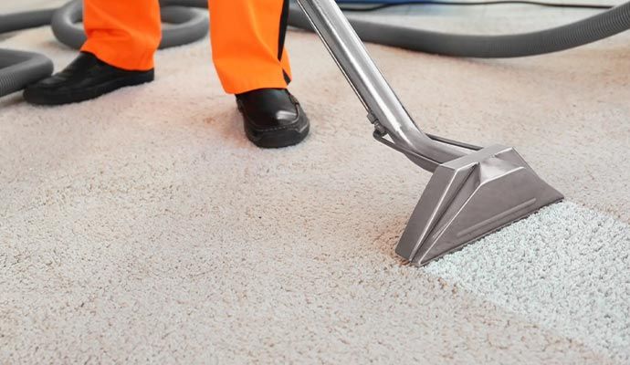 Steam carpet cleaning in progress