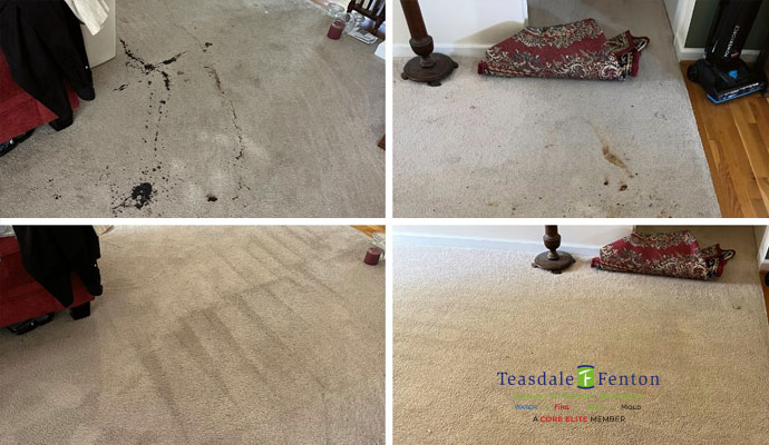 Pet Odor Removal From Carpets In Columbus Oh