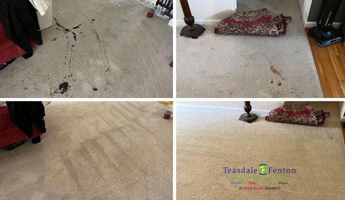 pet odor removal comparison