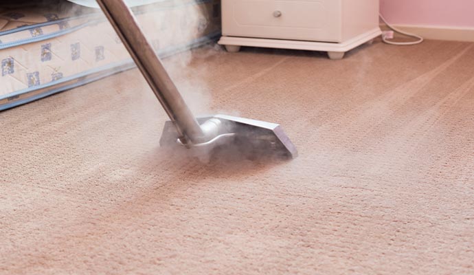 Expert performing steam cleaning on carpets using specialized equipment