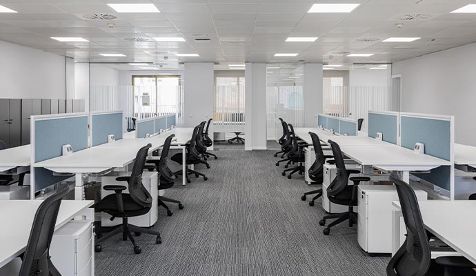 Clean carpet in a office space