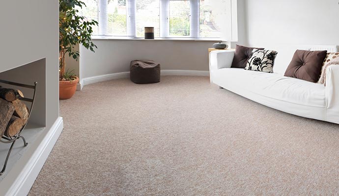 A cleaned carpet