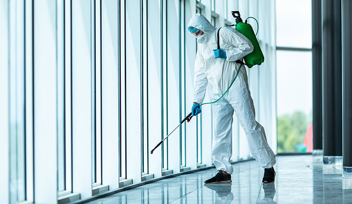 Expert disinfecting office interior