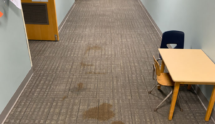 Liquid stains on carpeted hallway floor