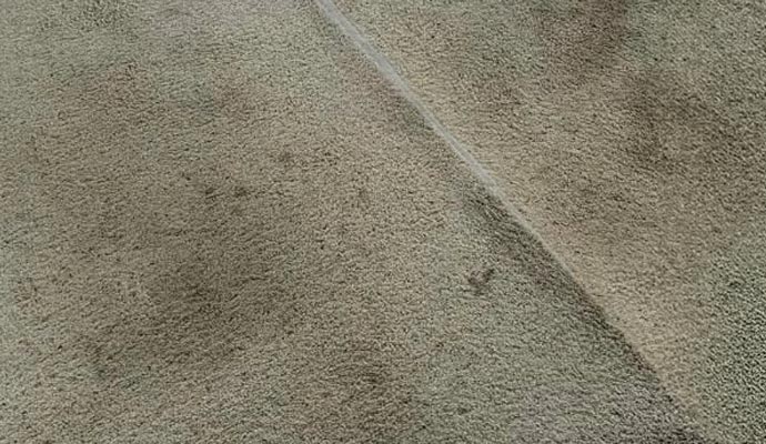Dirty carpet with mildew patches