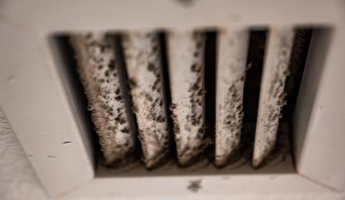 Moldy hvac duct