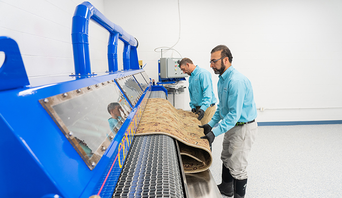 Person cleaning rug with equipment
