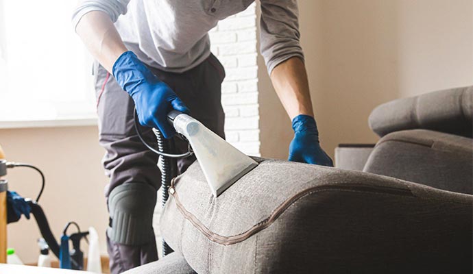 professional upholstery Cleaning service