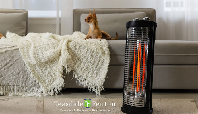 carpet heater and pet on sofa