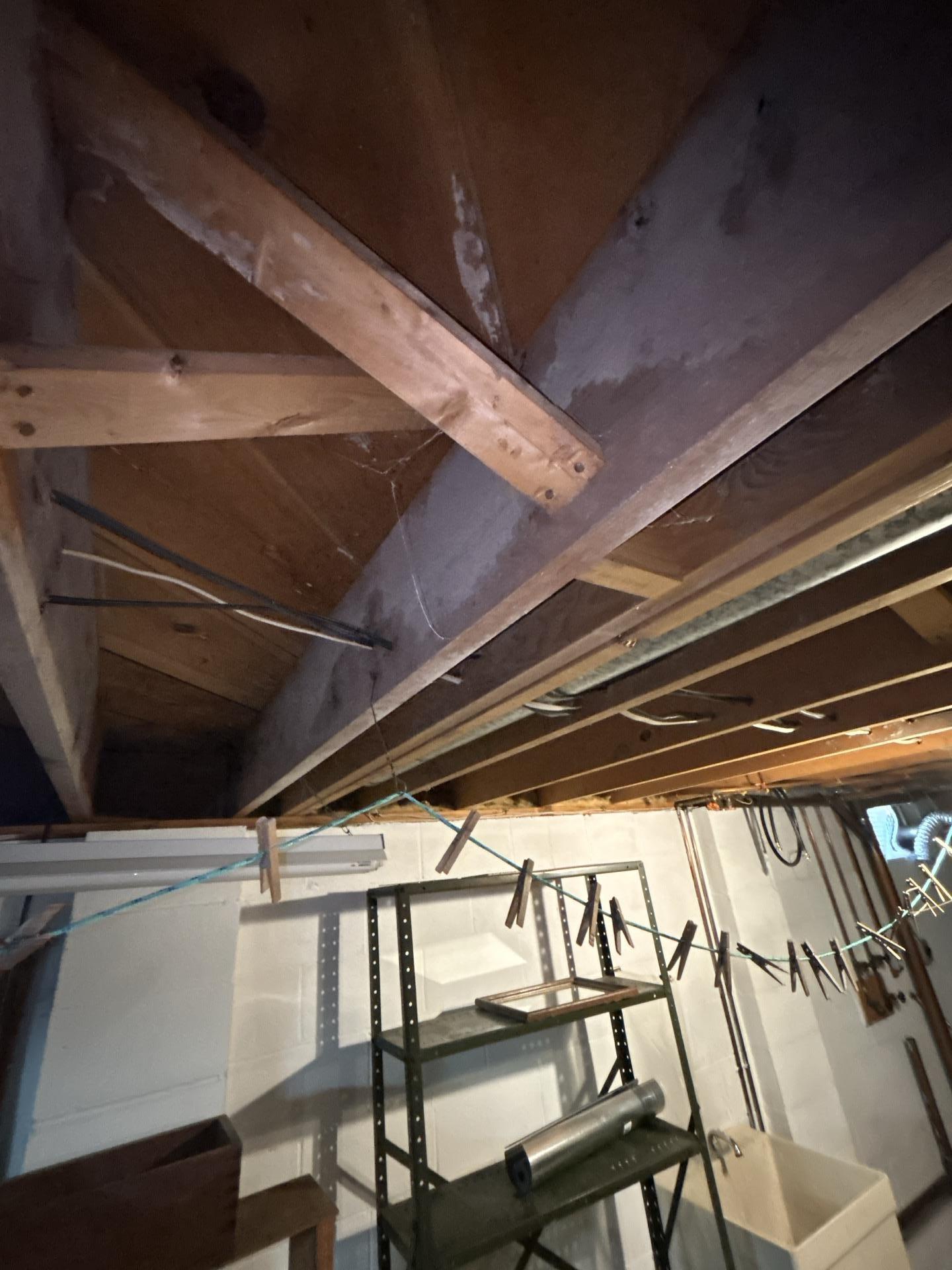 Close-up inspection of suspicious white mold growth and fungal staining on structural subfloor framing.