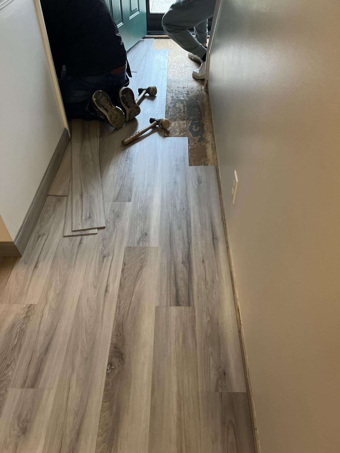 Chamberlain, Barbara