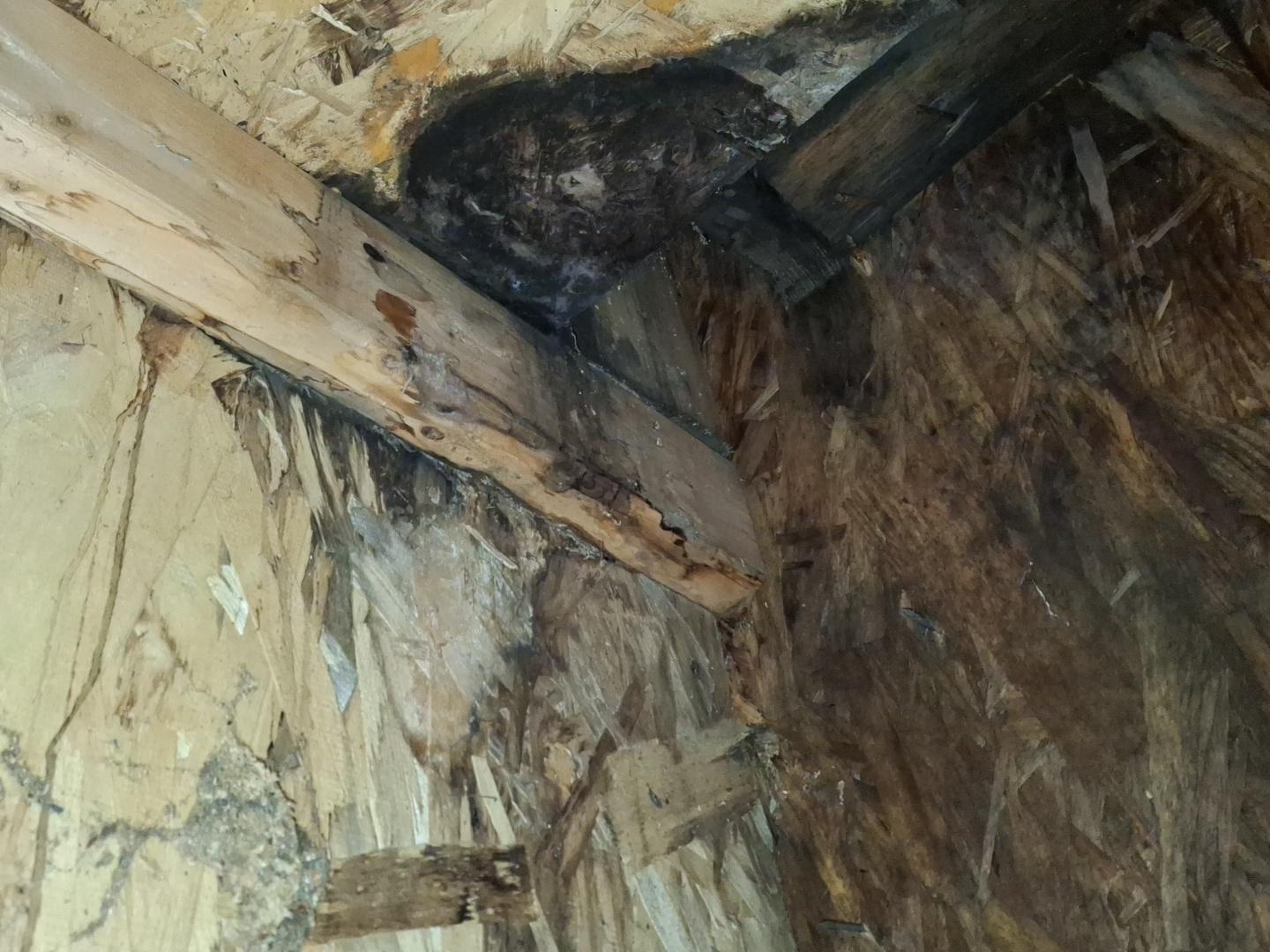 Founders Park Apartments