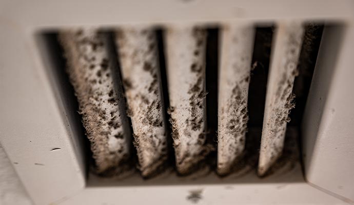 Visible black mold on HVAC air vent