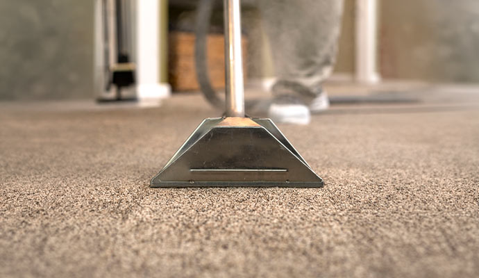 Professional carpet cleaning service using equipment