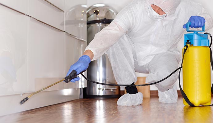 Professional disinfection service