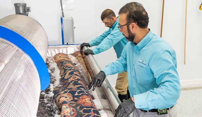 Team of experts performing rug cleaning with specialized machines