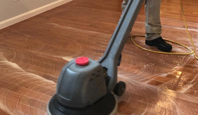 Expert worker cleaning hardwood floor