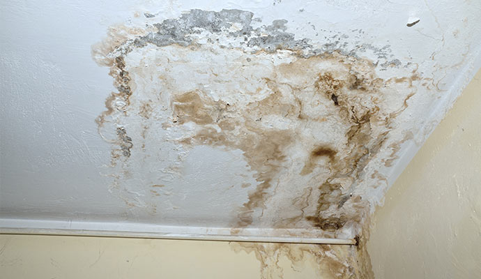 Ceiling damaged by water stain