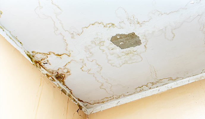 Peeling paint and water stained ceiling and wall