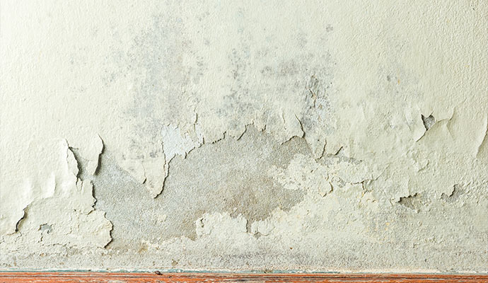 Peeling paint from drywall