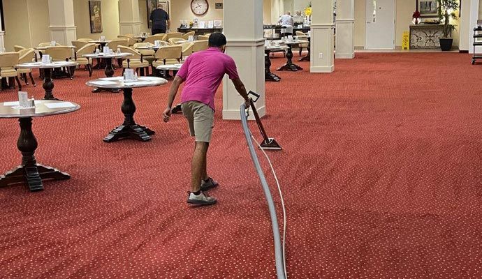 Professional carpet cleaning service