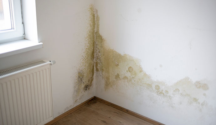 Sign of a hidden water pipe break or leak.