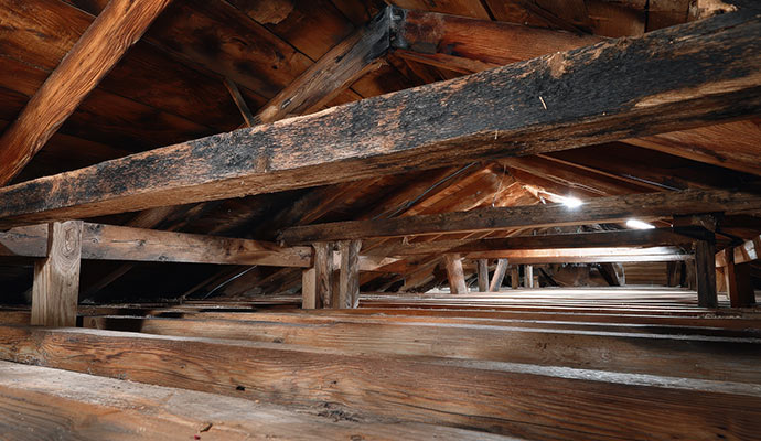 Water damaged wooden structure in attic