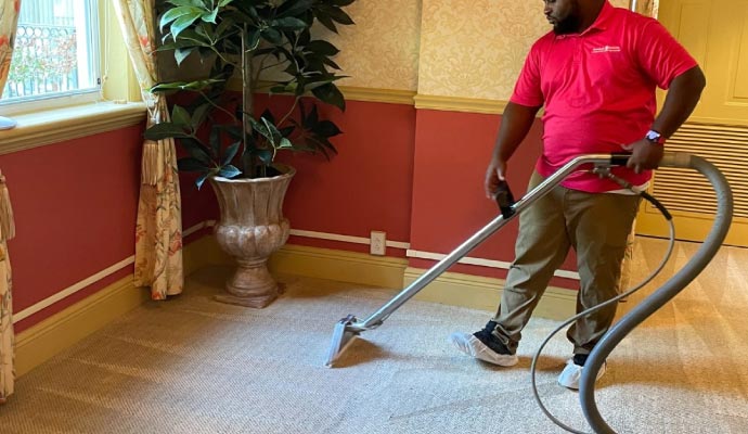 Professional rug cleaning