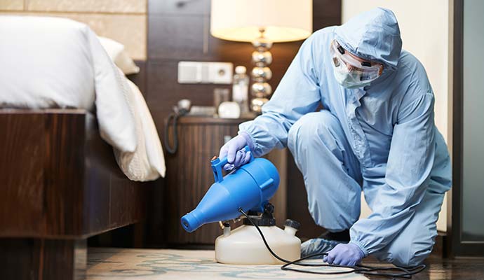 Expert preparing fogger machine