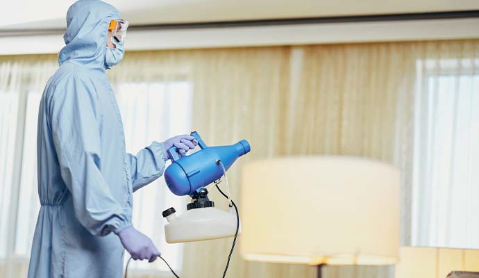 Expert sanitizing a room with a fogger