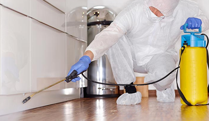 Technician spraying disinfectant along cabinets and floor