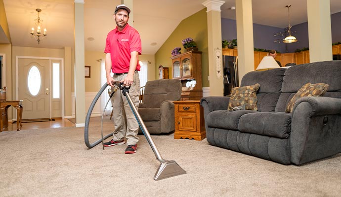 Teasdale expert cleaning carpet