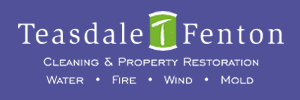 Teasdale Fenton Dayton Logo