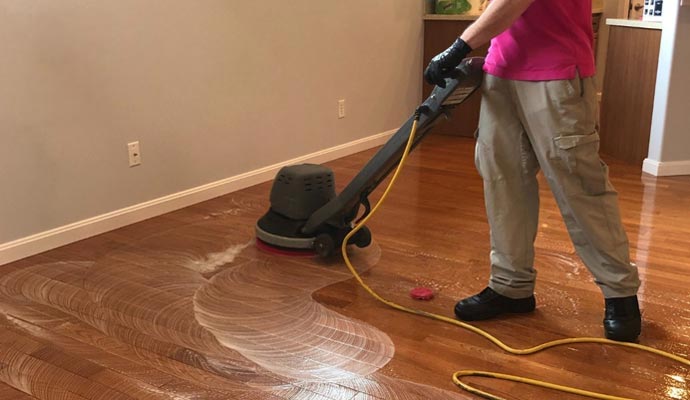 Professional worker cleaning hardwood floor